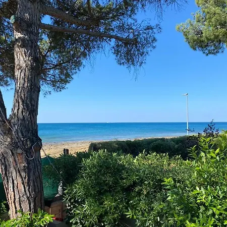 Beachfront Spina Daire *