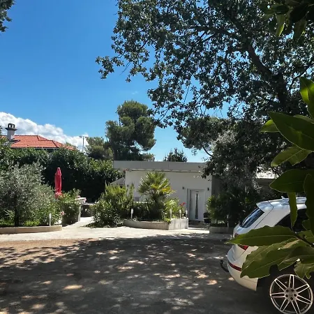 Beachfront Spina Daire Pelegrin