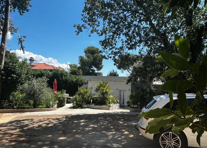 Beachfront Spina Daire Pelegrin