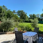 Beachfront Spina Pelegrin